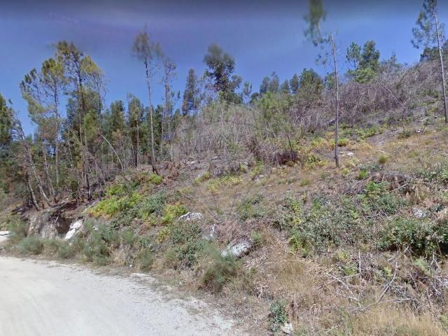 Terreno venda em Folhada, Várzea Ovelha E Aliviada