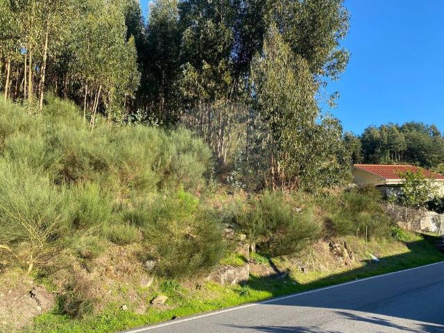 Terreno venda em Cárdia, Porto