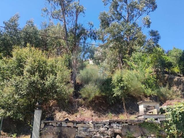 Terreno venda em Várzea do Douro, Várzea