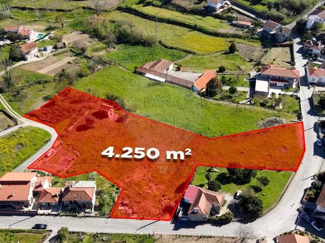 Terreno venda em Várzea, Porto