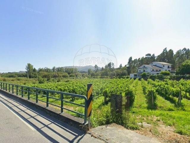 Terreno venda em Favões, São Lourenço Do Douro