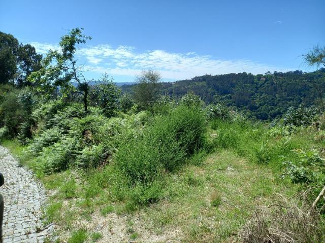 Terreno venda em Várzea da Ovelha, Várzea Ovelha E Aliviada