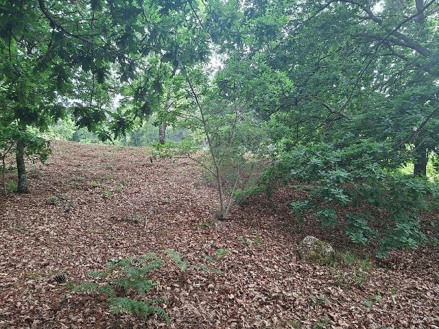 Terreno venda em Valadares, Várzea, Aliviada e Folhada