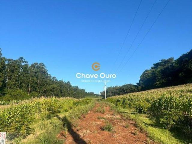 Terreno venda em Região Geográfica Imediata de Marechal Cândido Rondon, Marechal Cândido Rondon