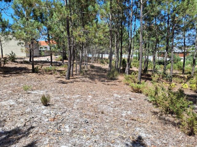 Terreno venda em Marinha Grande, Leiria