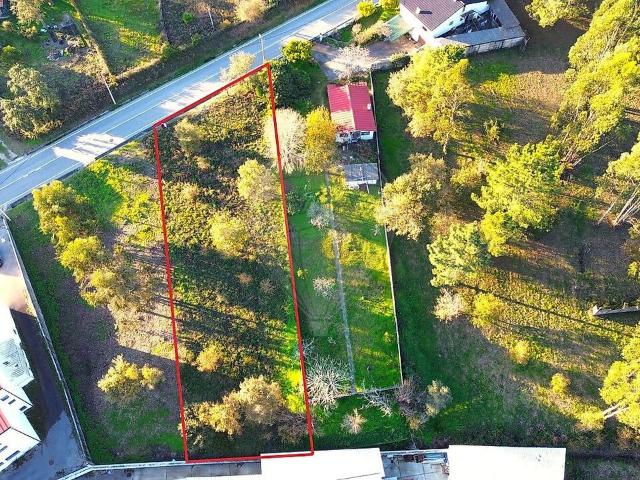 Terreno venda em Picassinos, Marinha Grande