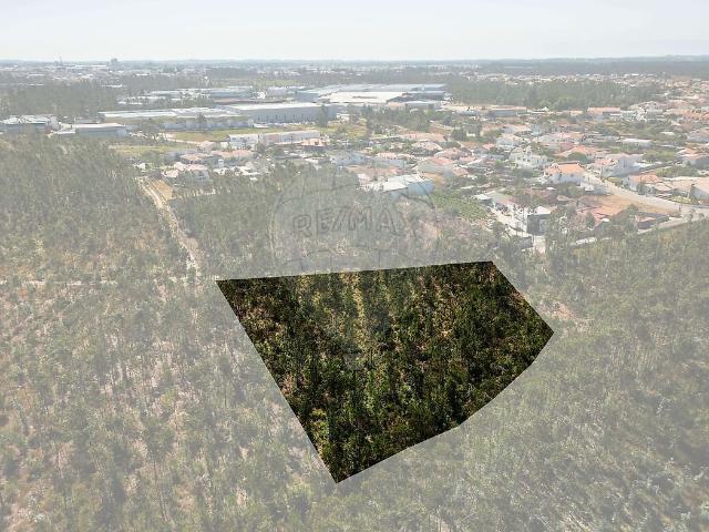 Terreno venda em Embra, Marinha Grande