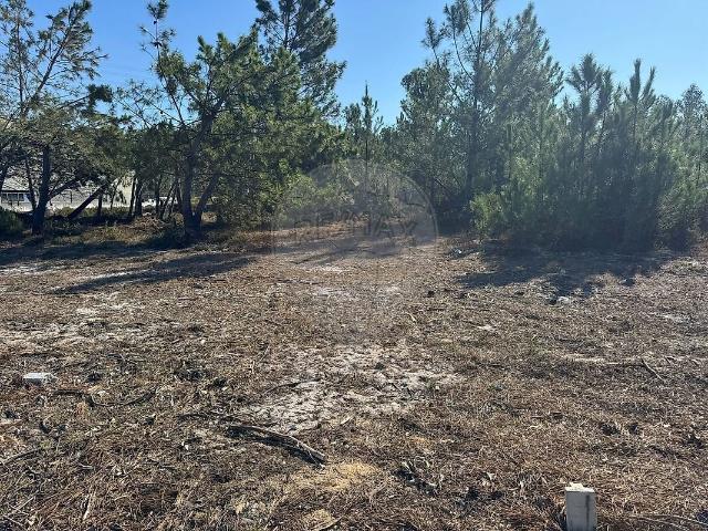 Terreno venda em Marinha Grande