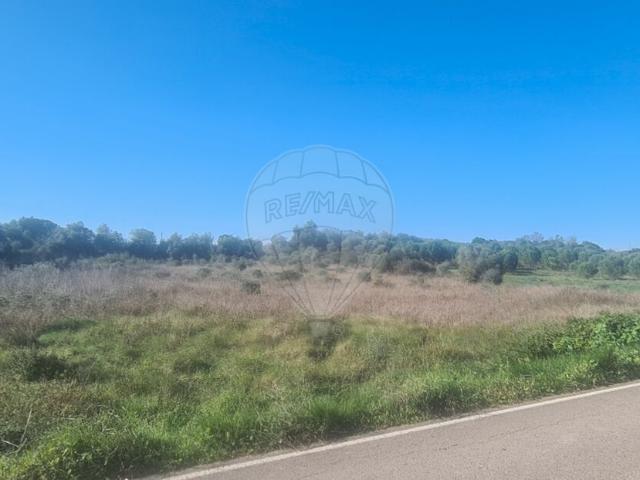 Terreno venda em Marmeleira e Assentiz, Rio Maior