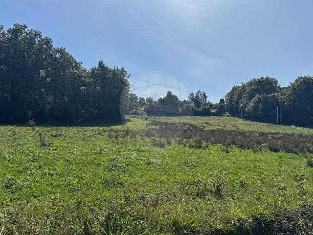 Terreno venda em Marrancos e Arcozelo, Vila Verde