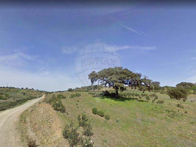 Terreno venda em Martim Longo, Faro