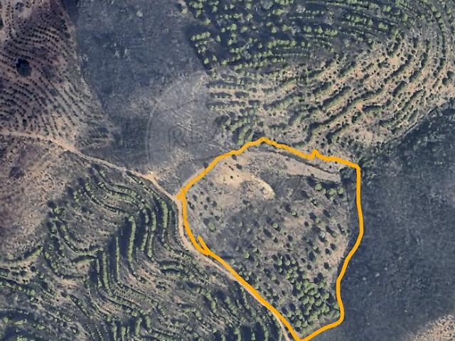 Terreno venda em Monte de Argil, Martim Longo