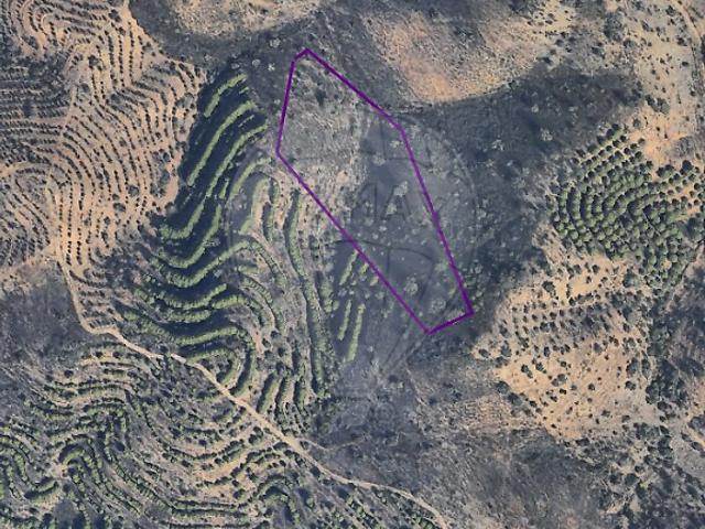Terreno venda em Monte de Argil, Martim Longo