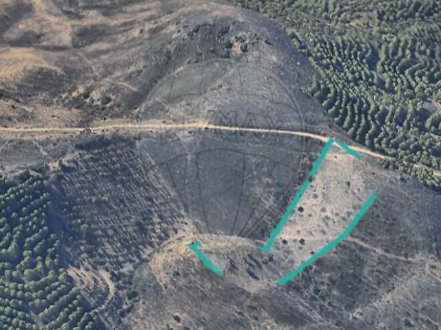 Terreno venda em Pessegueiro, Martim Longo
