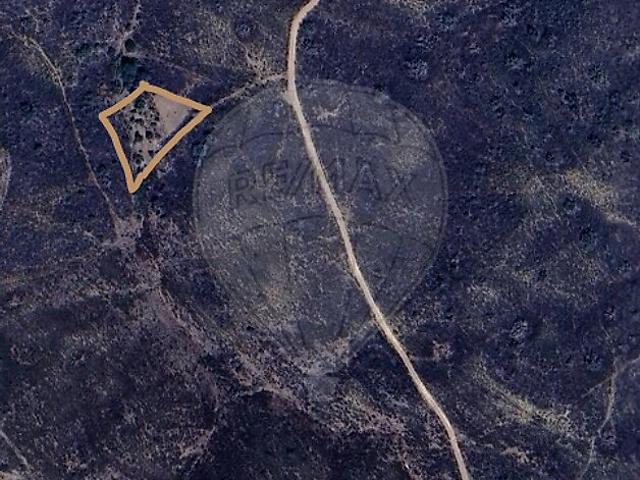 Terreno venda em Monte de Argil, Martim Longo