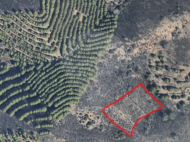 Terreno venda em Pessegueiro, Martim Longo
