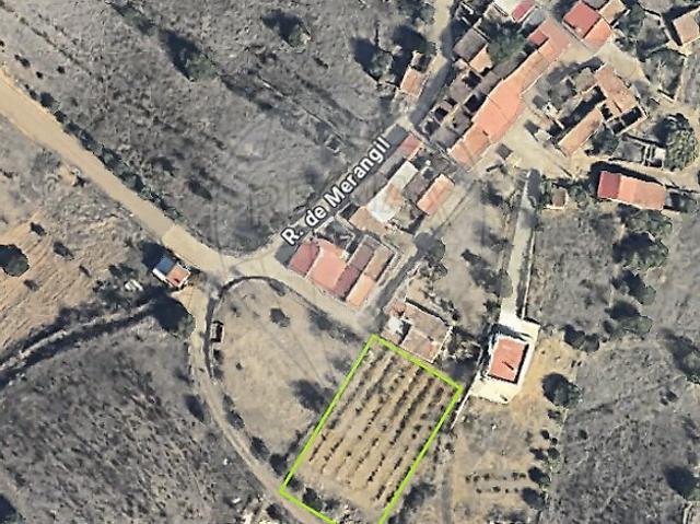 Terreno venda em Monte de Argil, Martim Longo