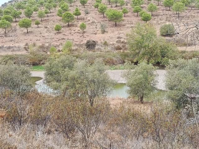 Terreno venda em Martim Longo, Faro