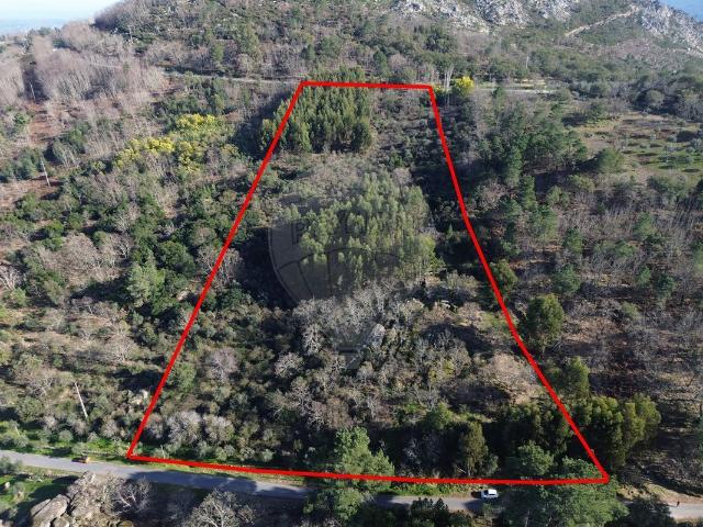 Terreno venda em Marvão, Santa Maria De Marvão