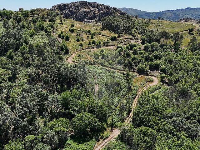 Terreno venda em Marvão, Santa Maria De Marvão