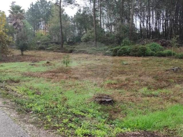 Terreno venda em Pombal, Carnide