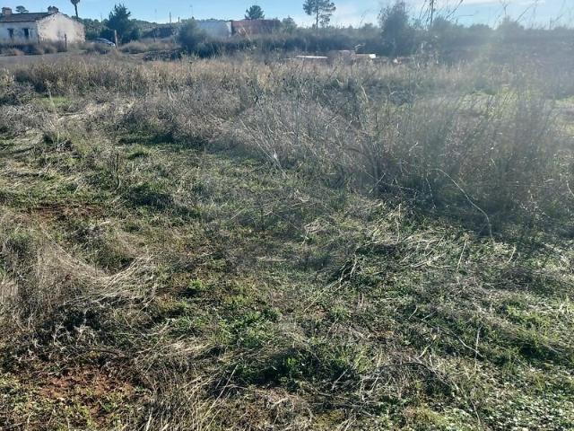 Terreno venda em Borba (Matriz), Borba