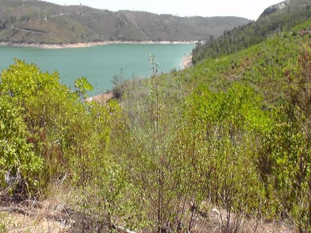 Terreno venda em Valadas, Rego Da Murta