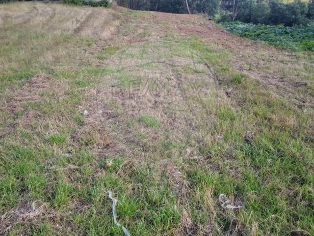 Terreno venda em Mealhada, Aveiro