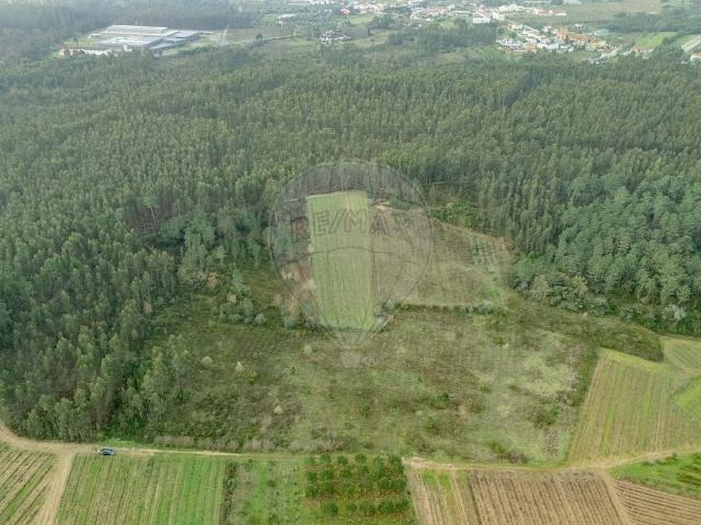 Terreno venda em Barregão, Mealhada