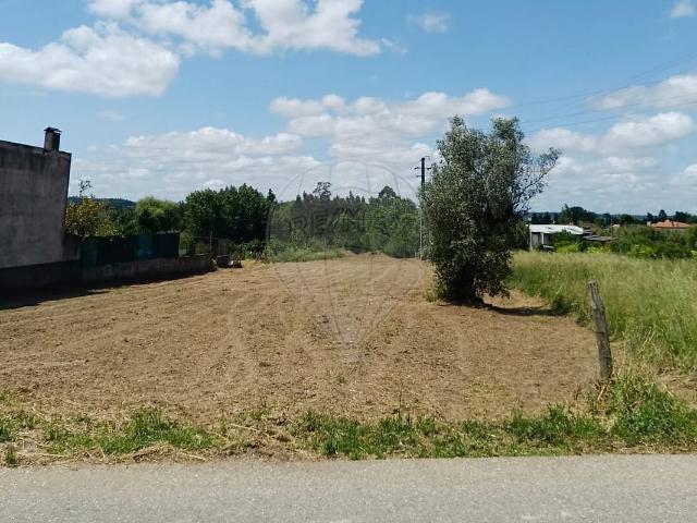 Terreno venda em Mealhada