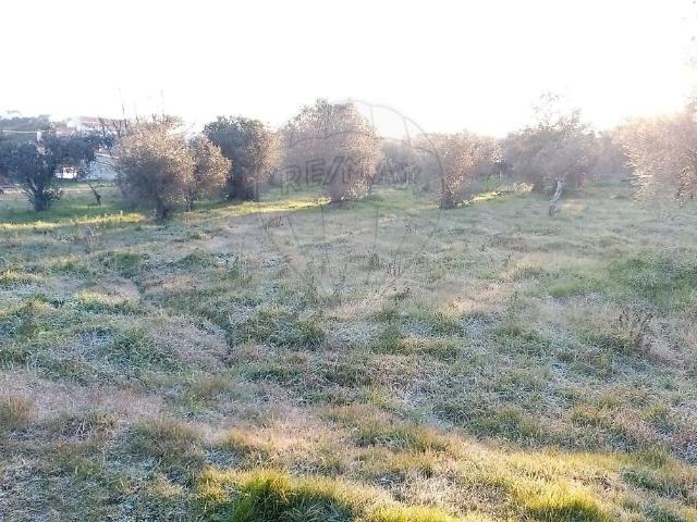 Terreno venda em Meimoa, Penamacor