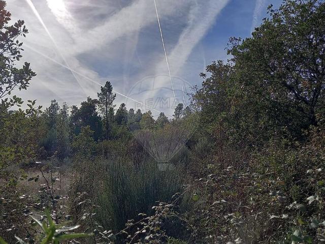 Terreno venda em Meimoa, Penamacor