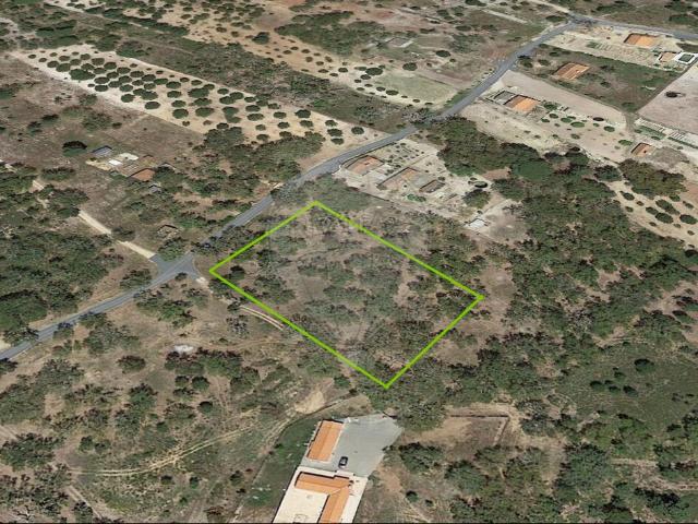 Terreno venda em Grândola e Santa Margarida da Serra, Grândola