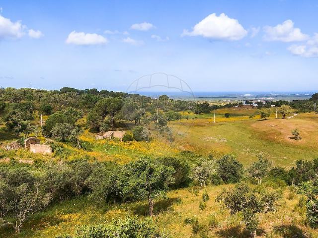 Terreno venda em Melides, Grândola