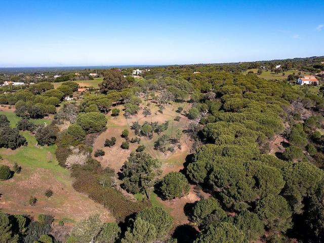 Terreno venda em Grândola e Santa Margarida da Serra, Grândola