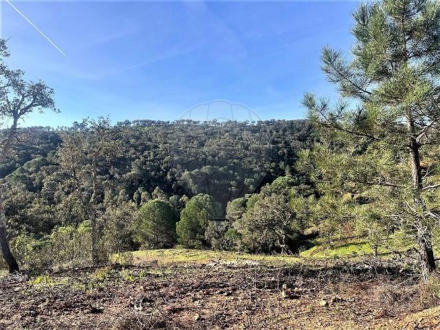 Terreno venda em São Francisco da Serra, Santiago do Cacém