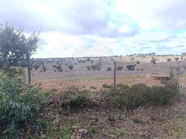 Terreno venda em Mértola