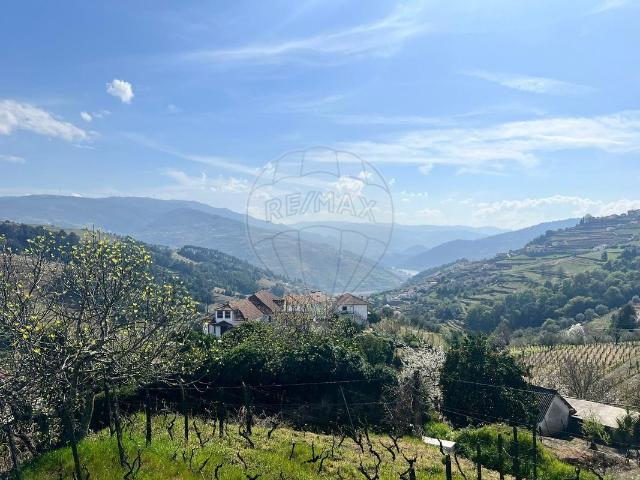 Terreno venda em São Nicolau, Vila Real
