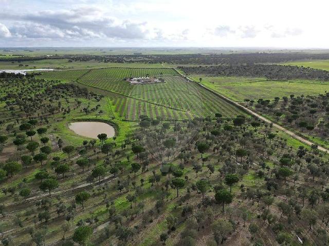 Terreno venda em Álamo de Cima, Messejana
