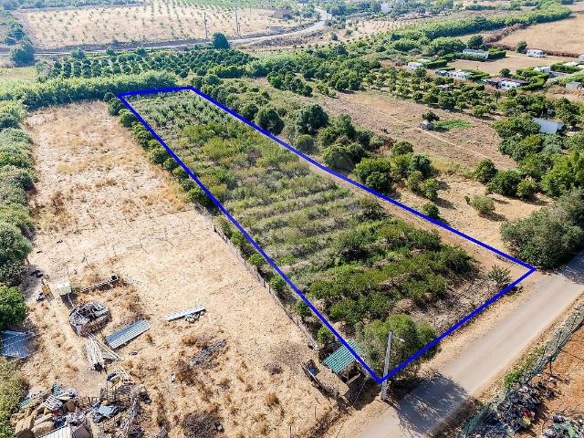 Terreno venda em Mexilhoeira Grande, Portimão