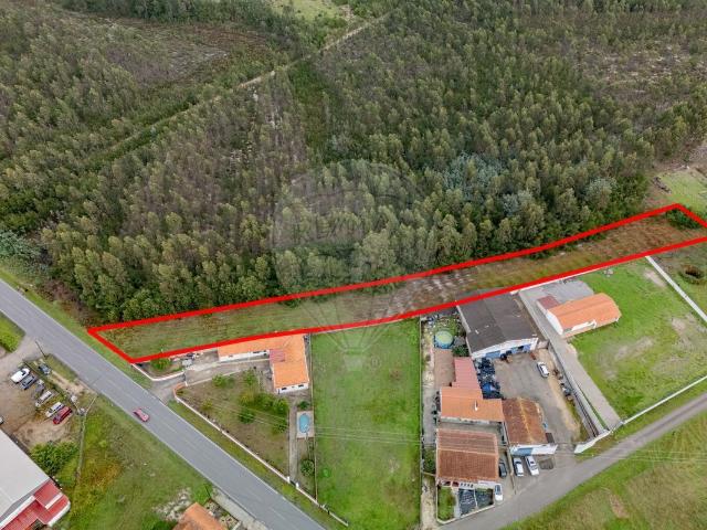 Terreno venda em Mira, Coimbra