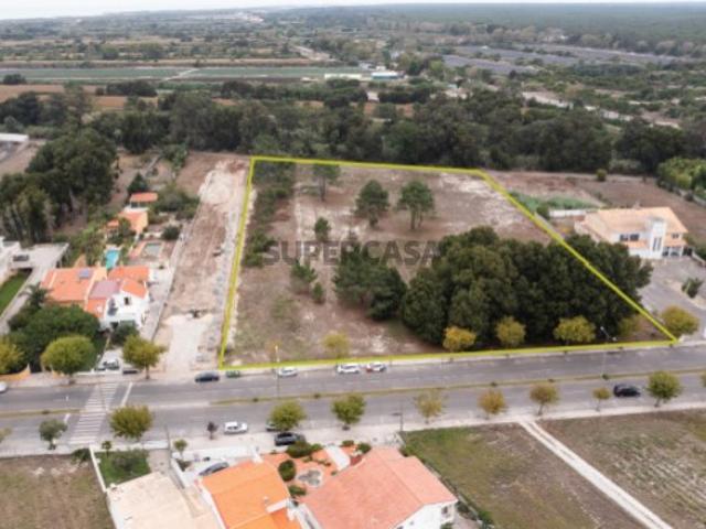 Terreno venda em Mira, Coimbra