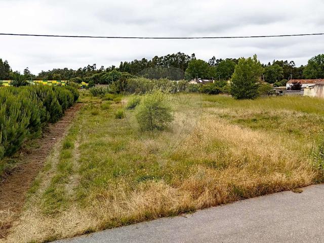 Terreno venda em Mira