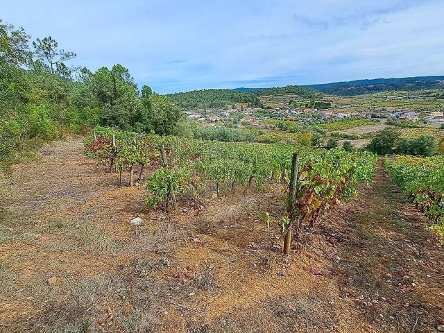 Terreno venda em Miranda do Corvo
