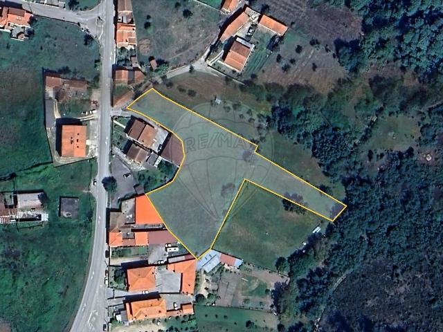 Terreno venda em Miranda do Corvo