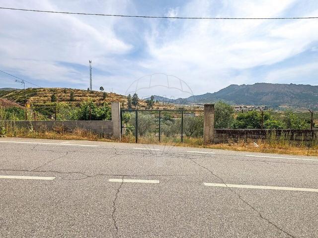 Terreno venda em Mirandela, Bragança