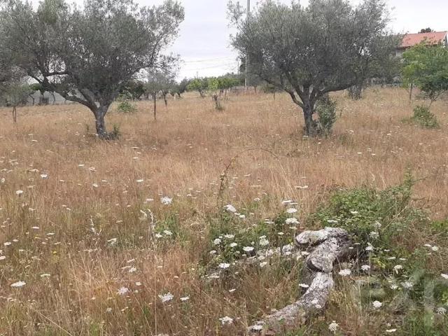 Terreno venda em Mirandela, Bragança