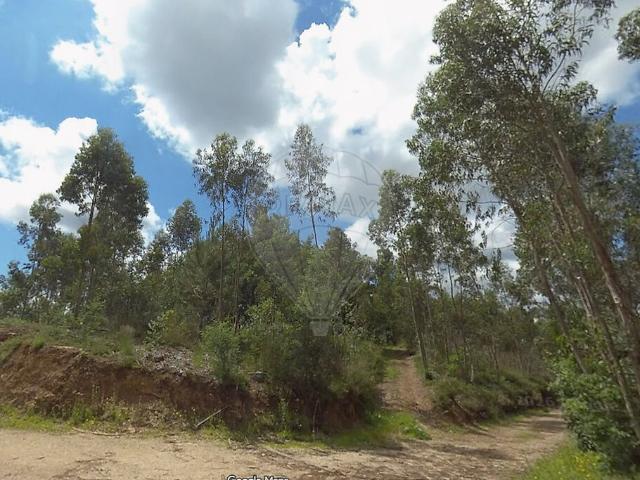 Terreno venda em Moita, Anadia