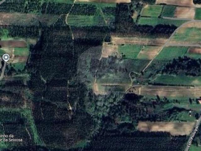 Terreno venda em Moita dos Ferreiros, Lourinhã
