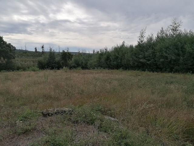 Terreno venda em Molelos, Tondela